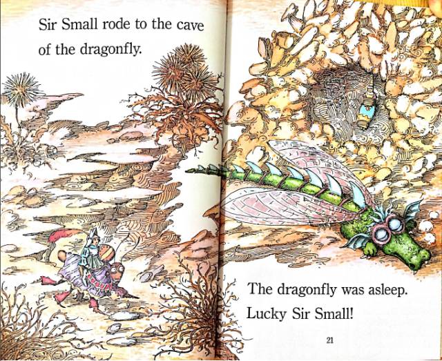 Sir Small and the Dragonfly